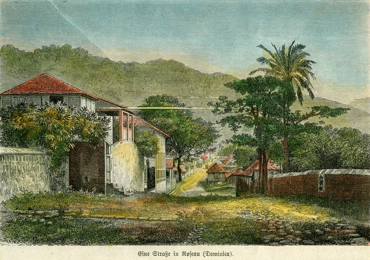 Eine Straße in Roseau, Dominica, ca. 1880 von Pann