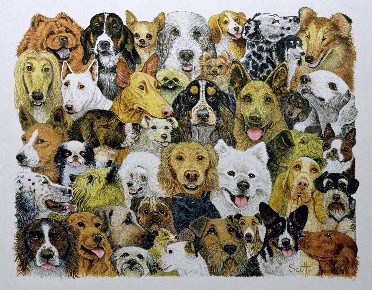 Hundefreunde von Pat Scott