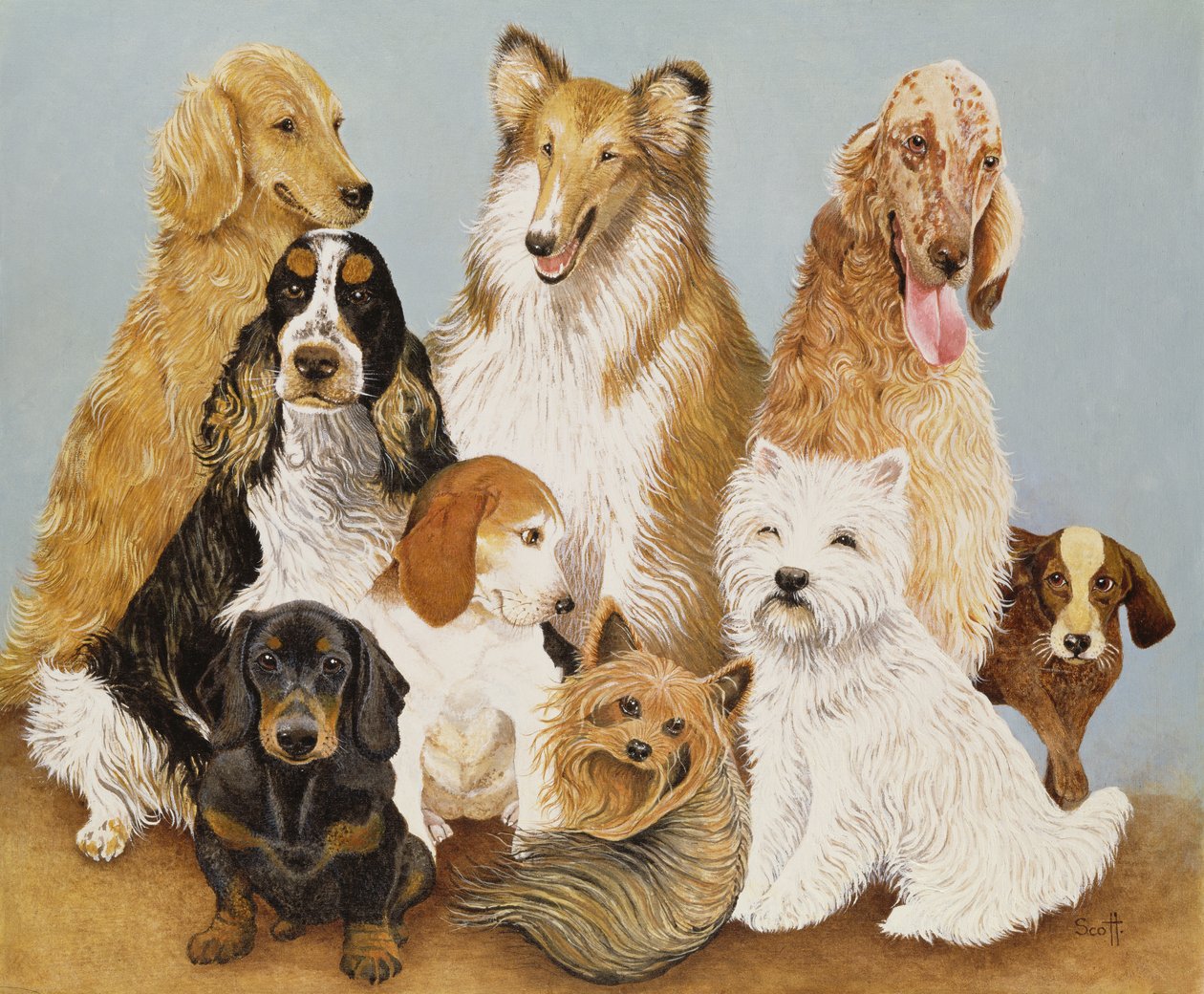 Hundeessen von Pat Scott