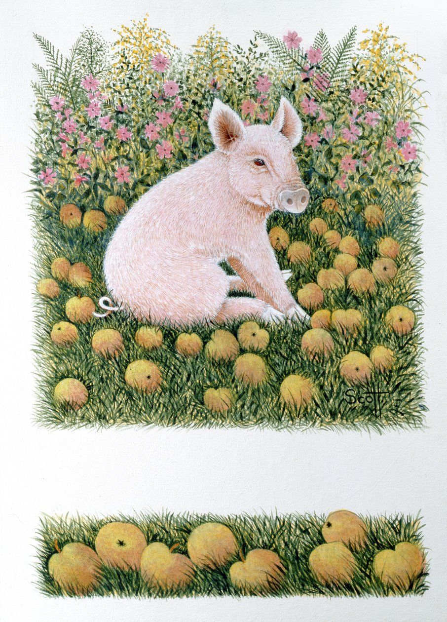 Noch ein Apfel von Pat Scott