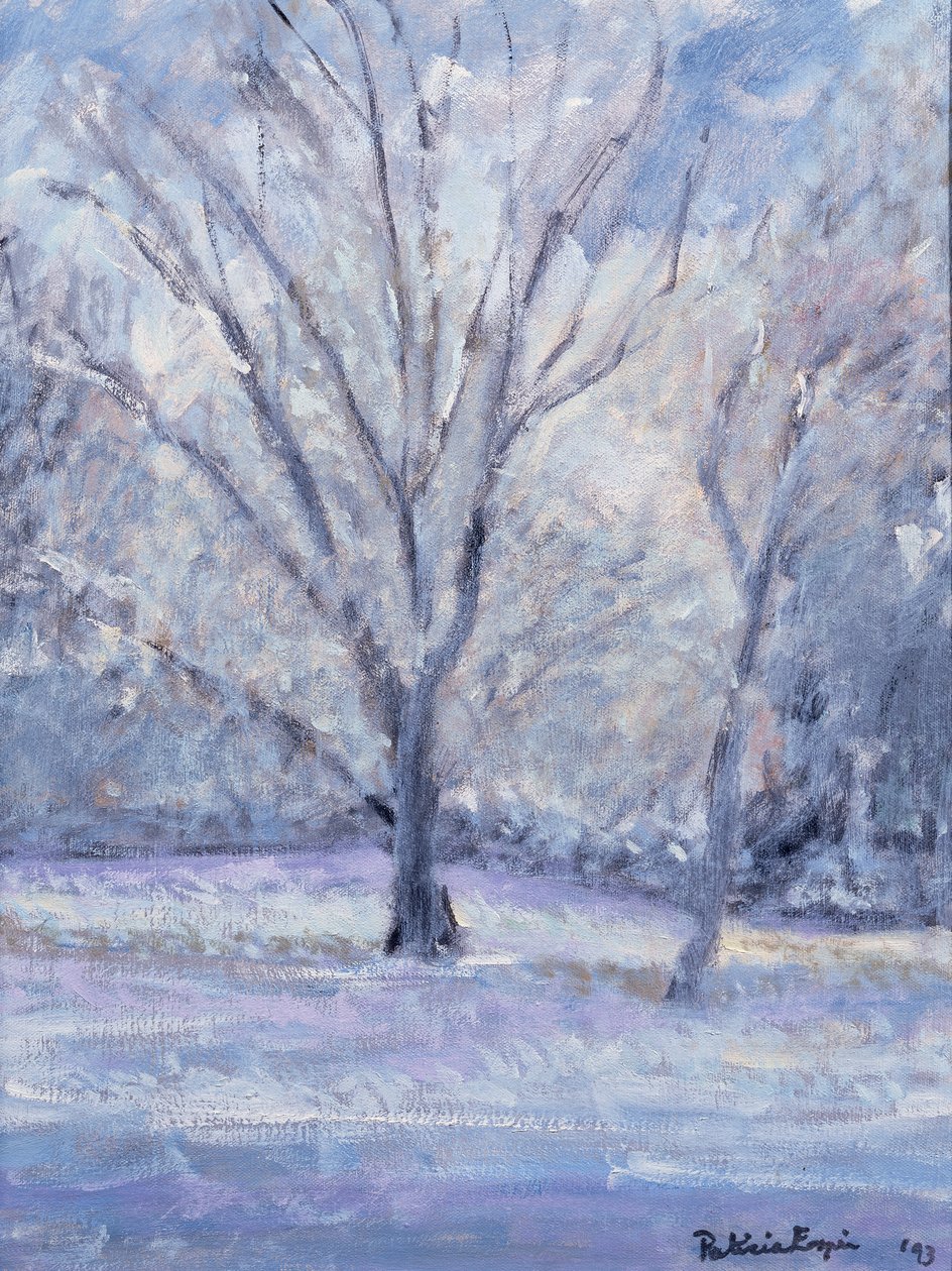 Schneeszene von Patricia Espir