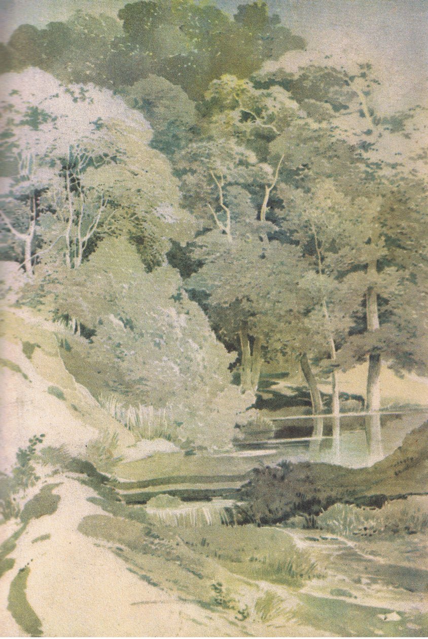 Alte Buche im Windsor Forest, Nature in Britain, veröffentlicht von Collins, 1946 von Paul Sandby