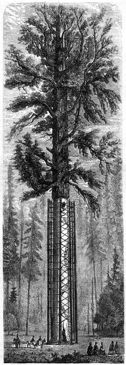 Yosemite-Nationalpark, Kalifornien, 19. Jahrhundert von Paul Huet