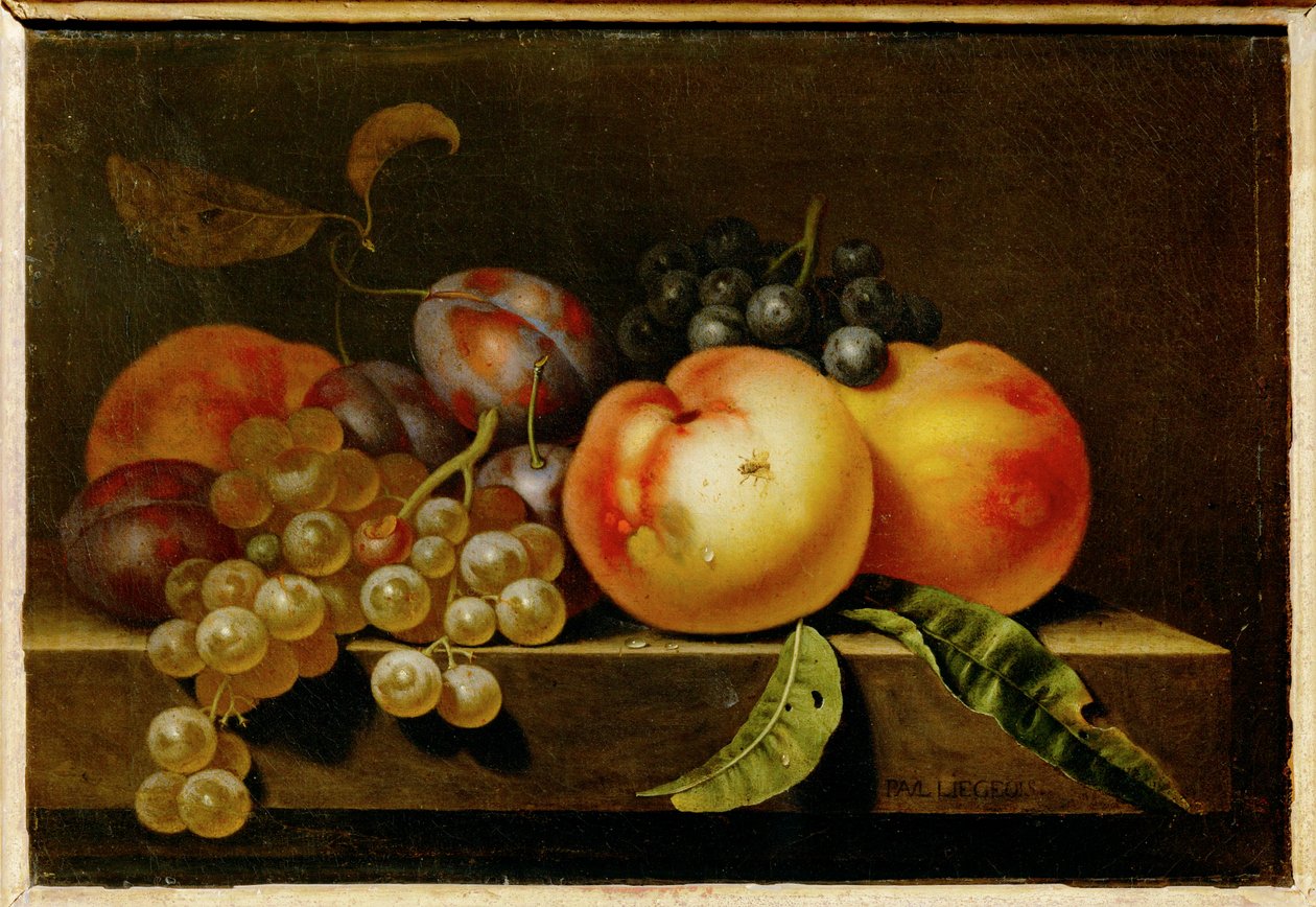 Pfirsiche, Pflaumen und Trauben von Paul Liegeois