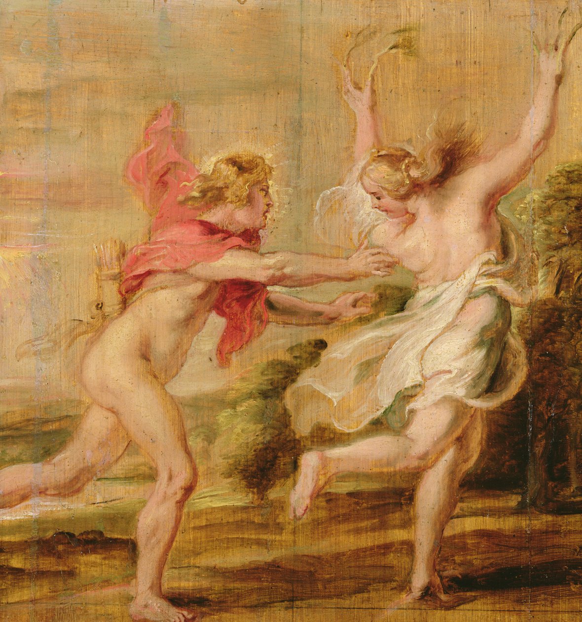 Apollo und Daphne, ca. 1636 von Peter Paul Rubens