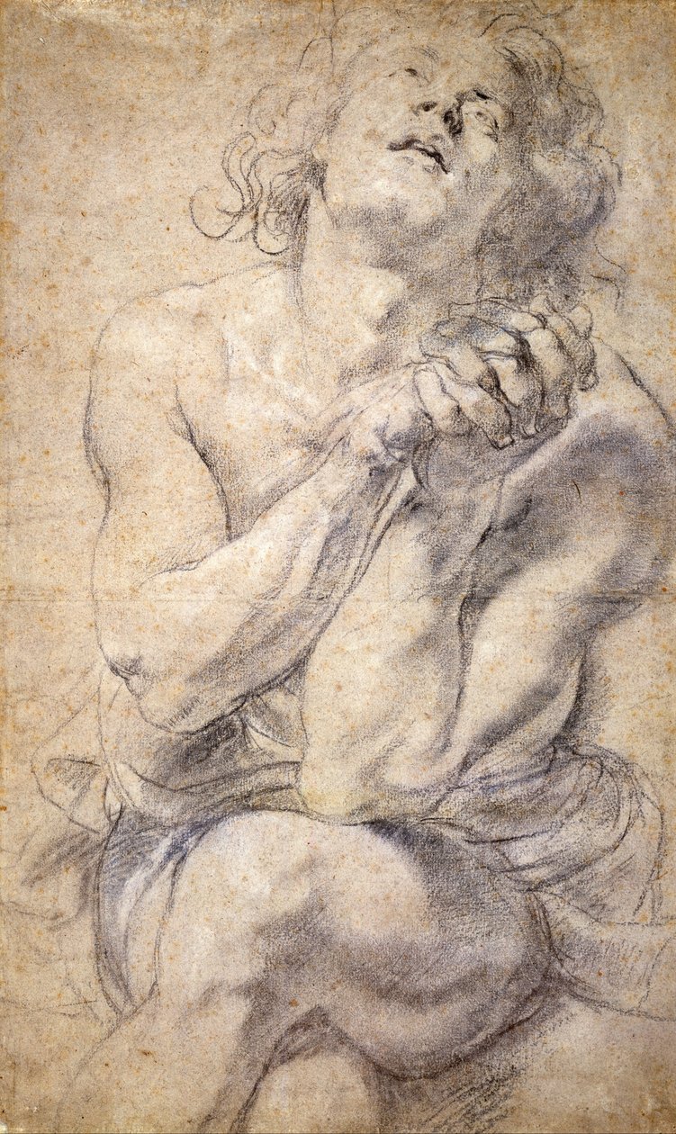 Sitzender männlicher Jugendlicher (Studie für Daniel) von Peter Paul Rubens