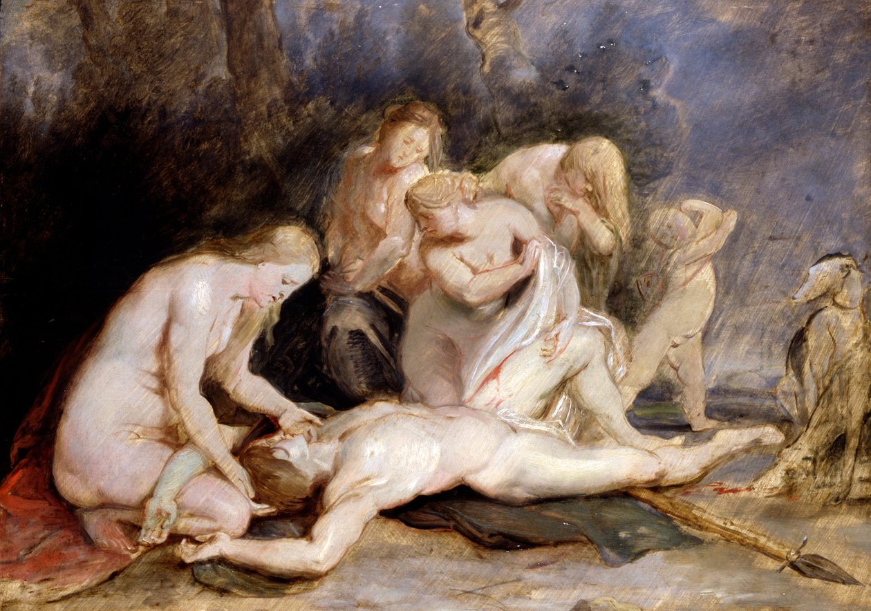 Venus trauert um Adonis von Peter Paul Rubens