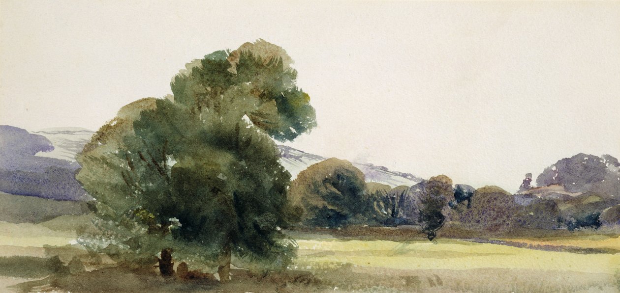 Bäume auf einem Feld von Peter de Wint