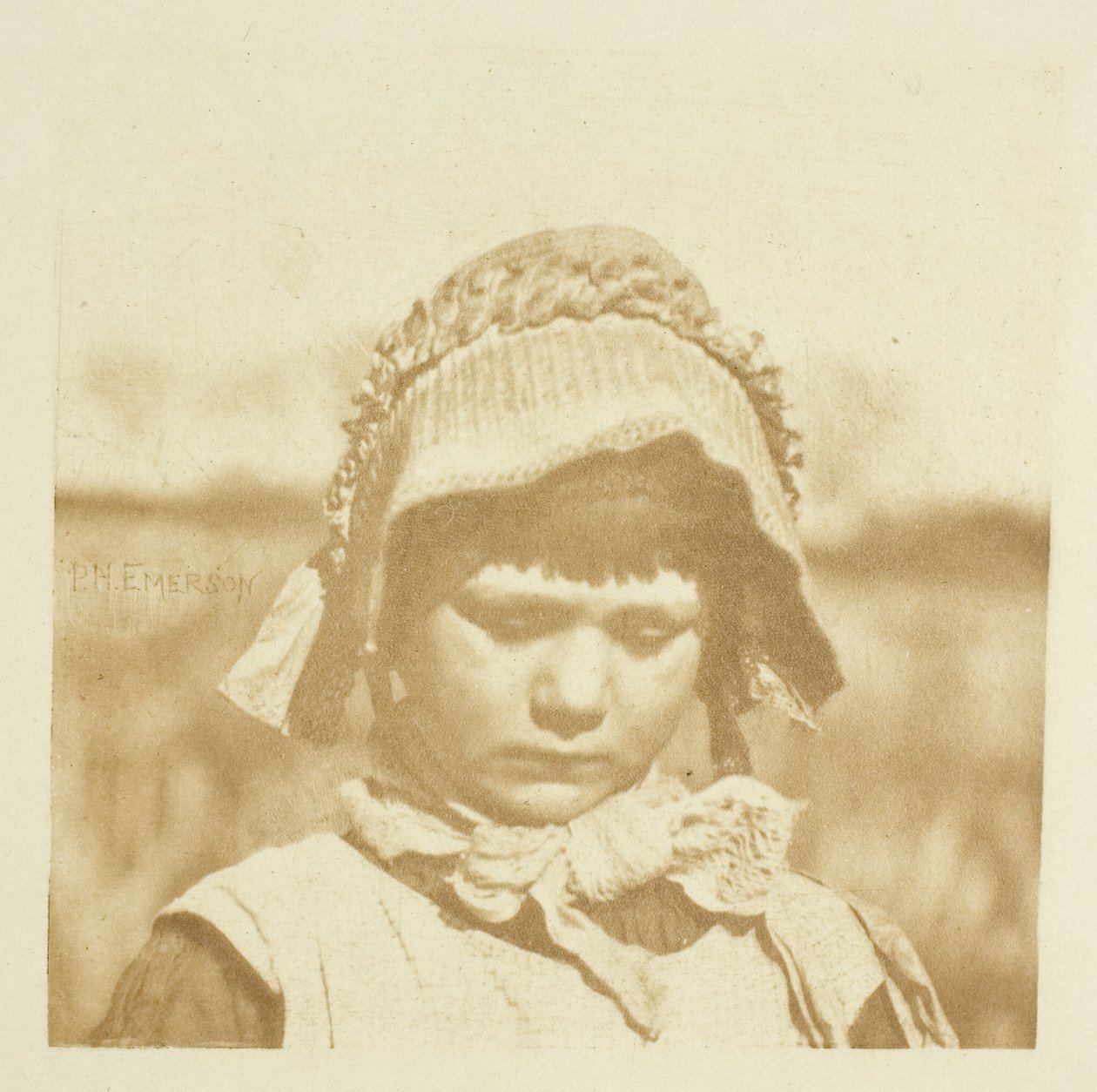 Eine Blume aus Norfolk von Peter Henry Emerson