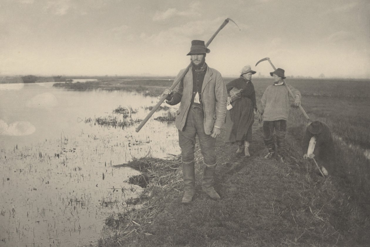 Heimkehr von den Sümpfen, 1886 von Peter Henry Emerson