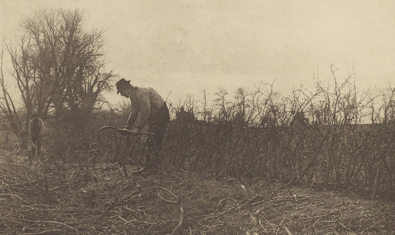 Fechten in Suffolk von Peter Henry Emerson