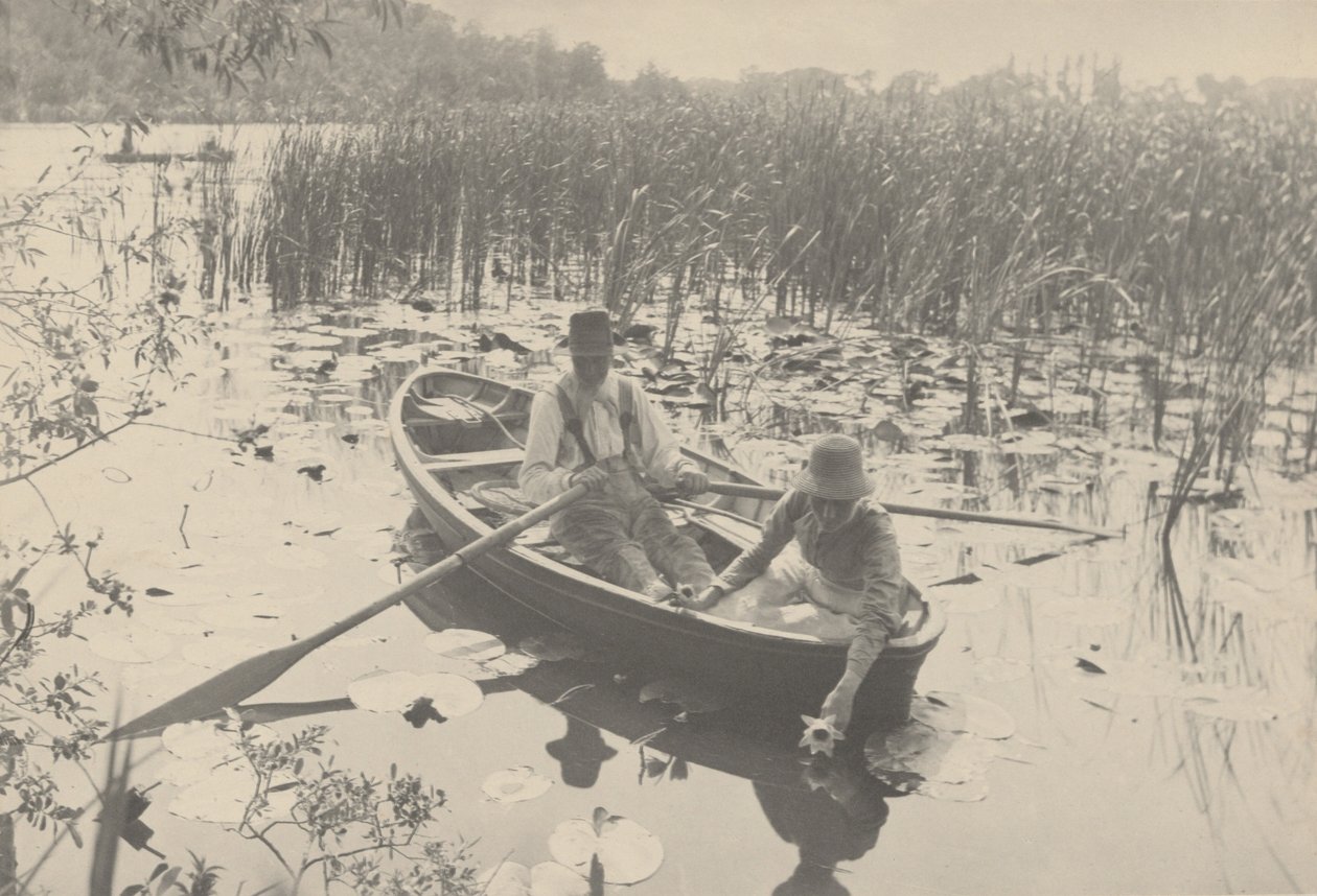 Wasserlilien sammeln, 1886 von Peter Henry Emerson