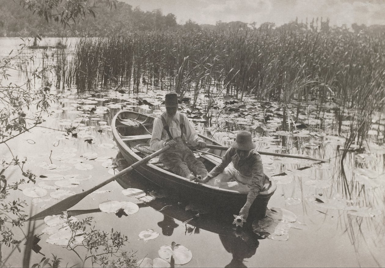 Wasserlilien sammeln von Peter Henry Emerson