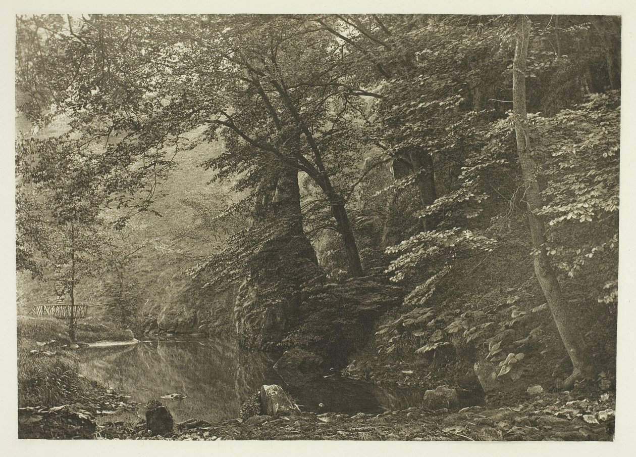„Pike Pool“ (von unten) von Peter Henry Emerson