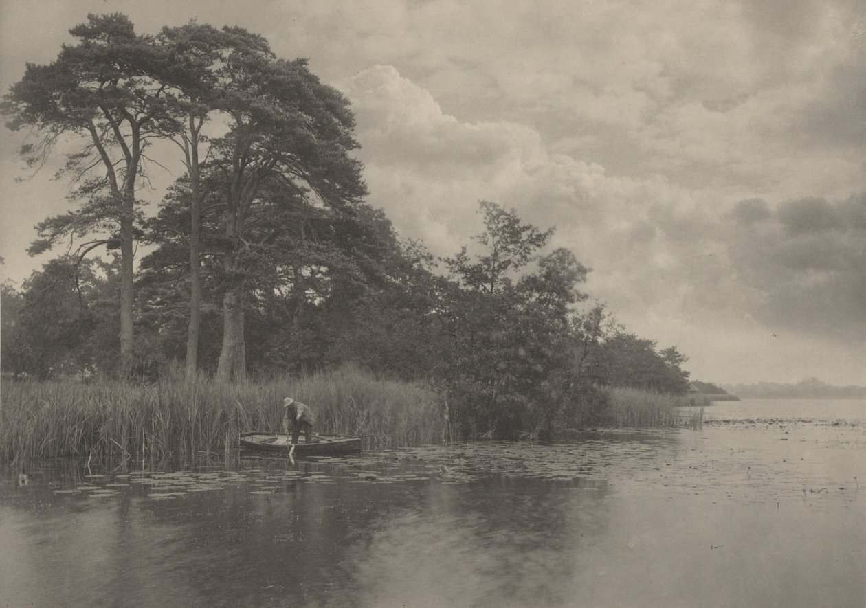 Das Versteck des Hechts von Peter Henry Emerson