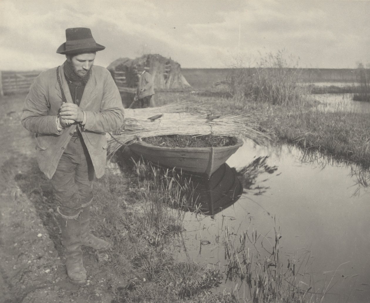 Das Schilf schleppen, 1886 von Peter Henry Emerson