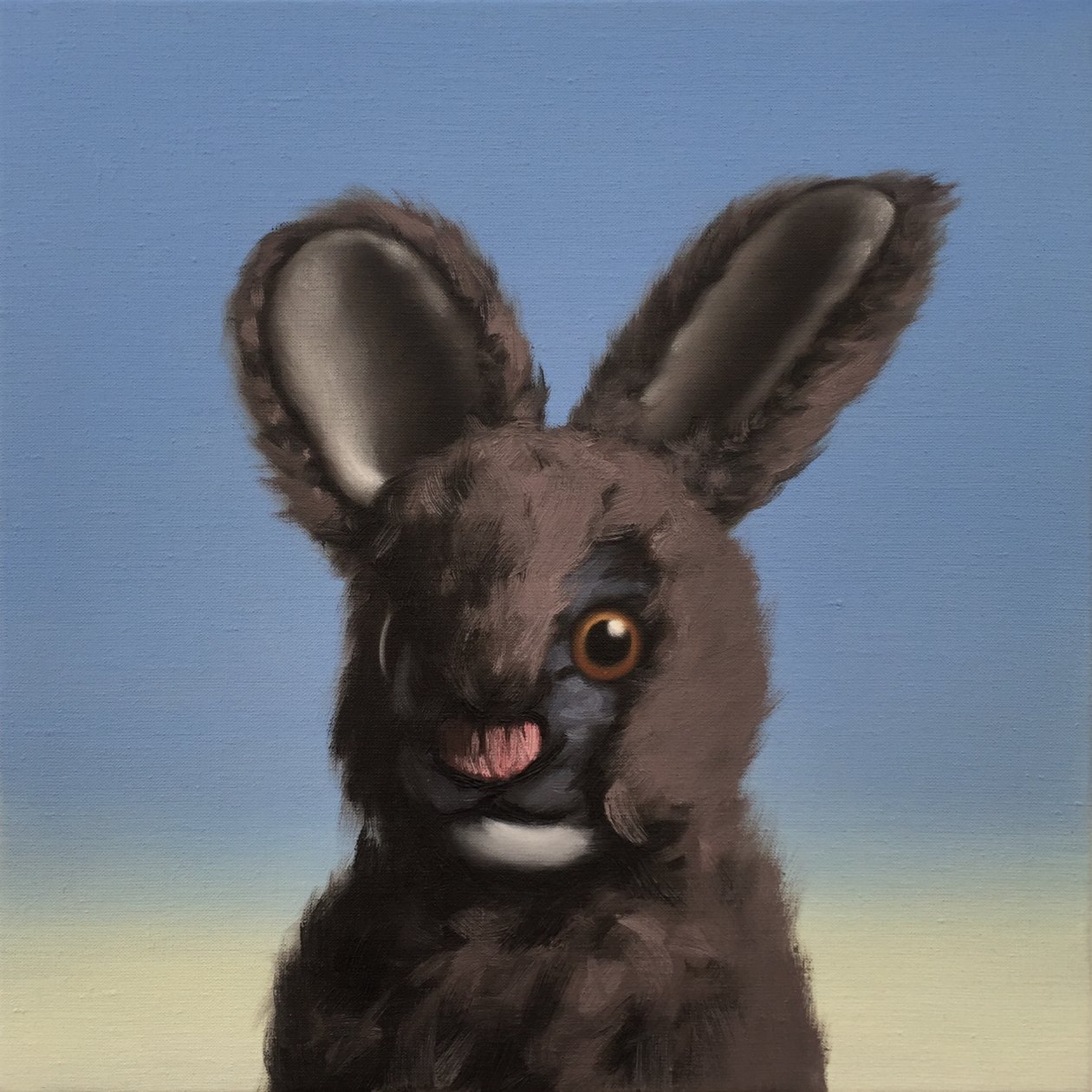 Hase von Peter Jones