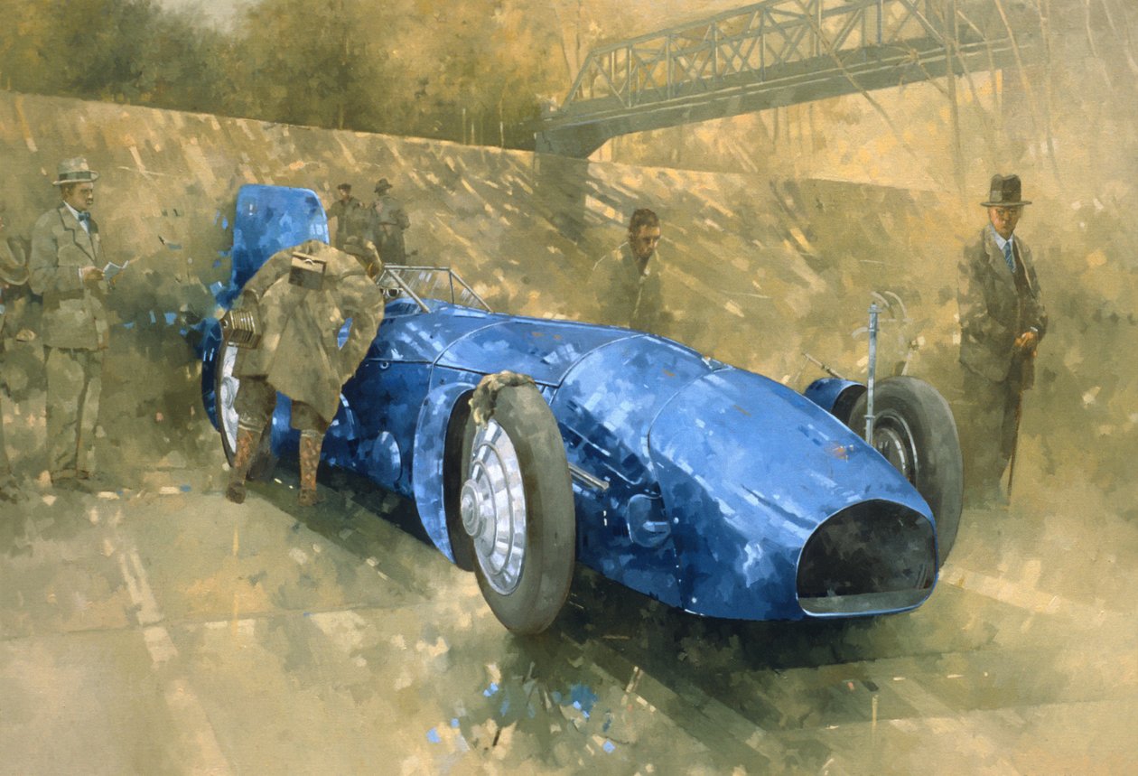 Bluebird in Brooklands von Peter Miller