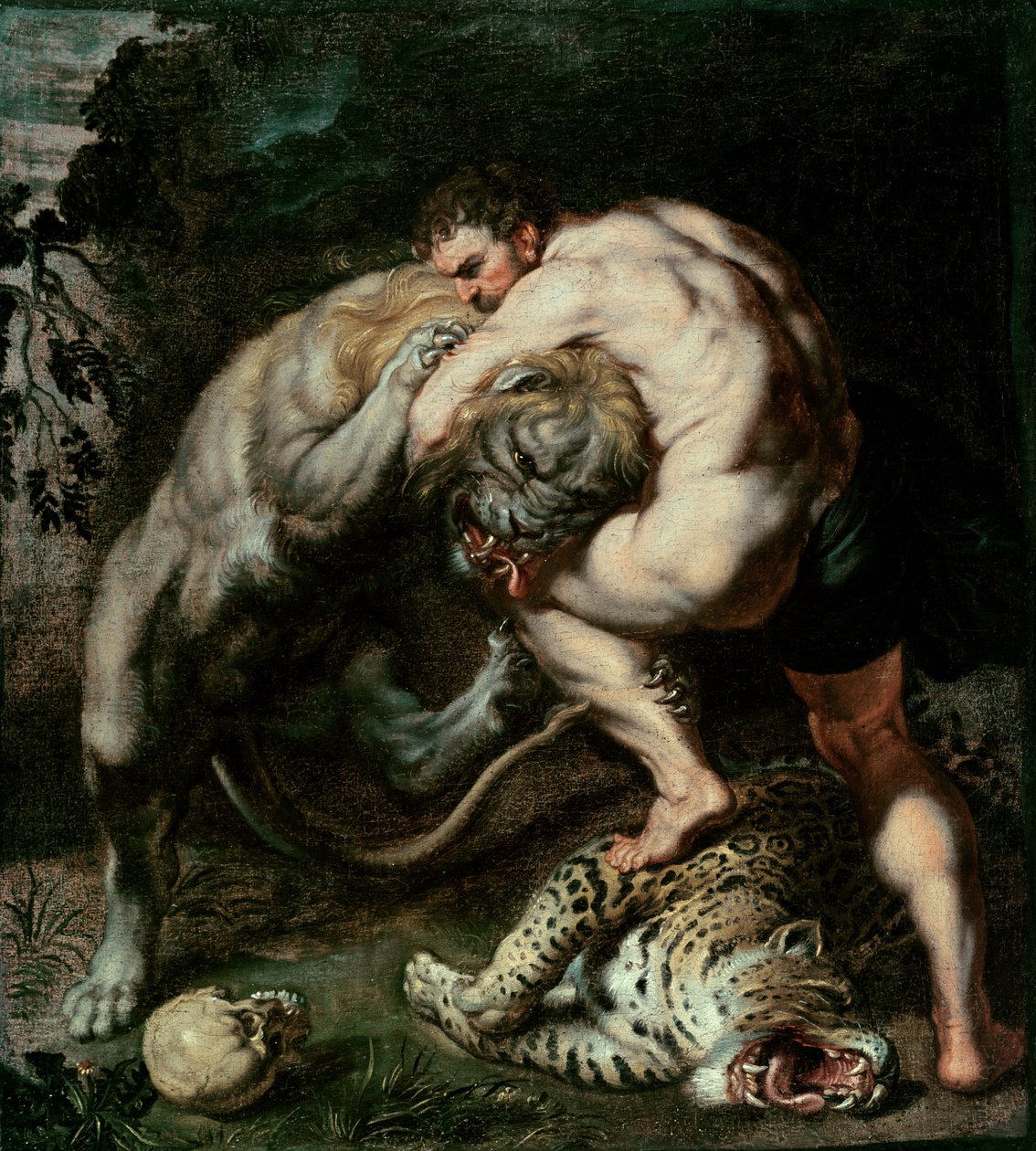 Herkules kämpft mit dem nemeischen Löwen von Peter Paul Rubens