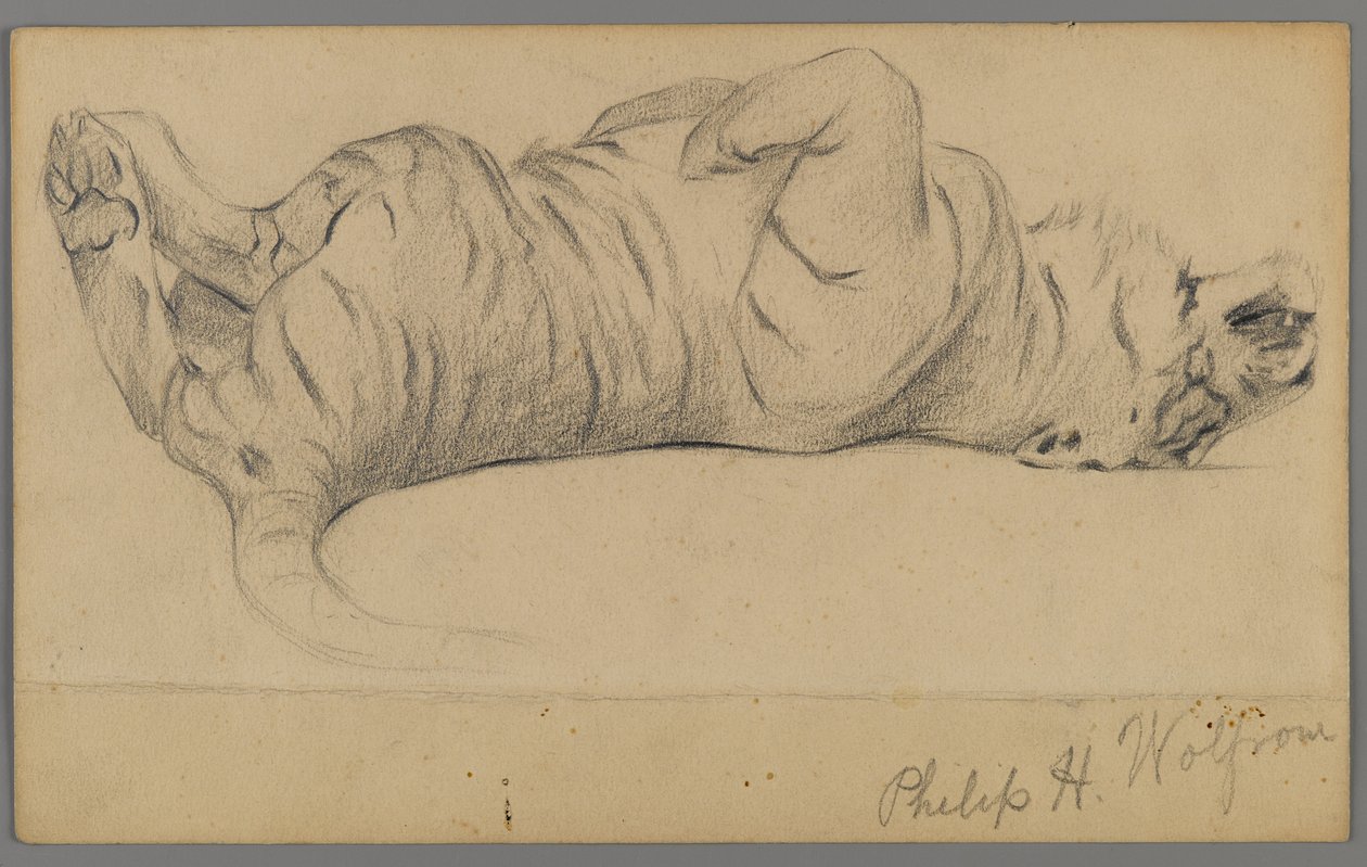 Schlafender Tiger von Philip H. Wolfrom