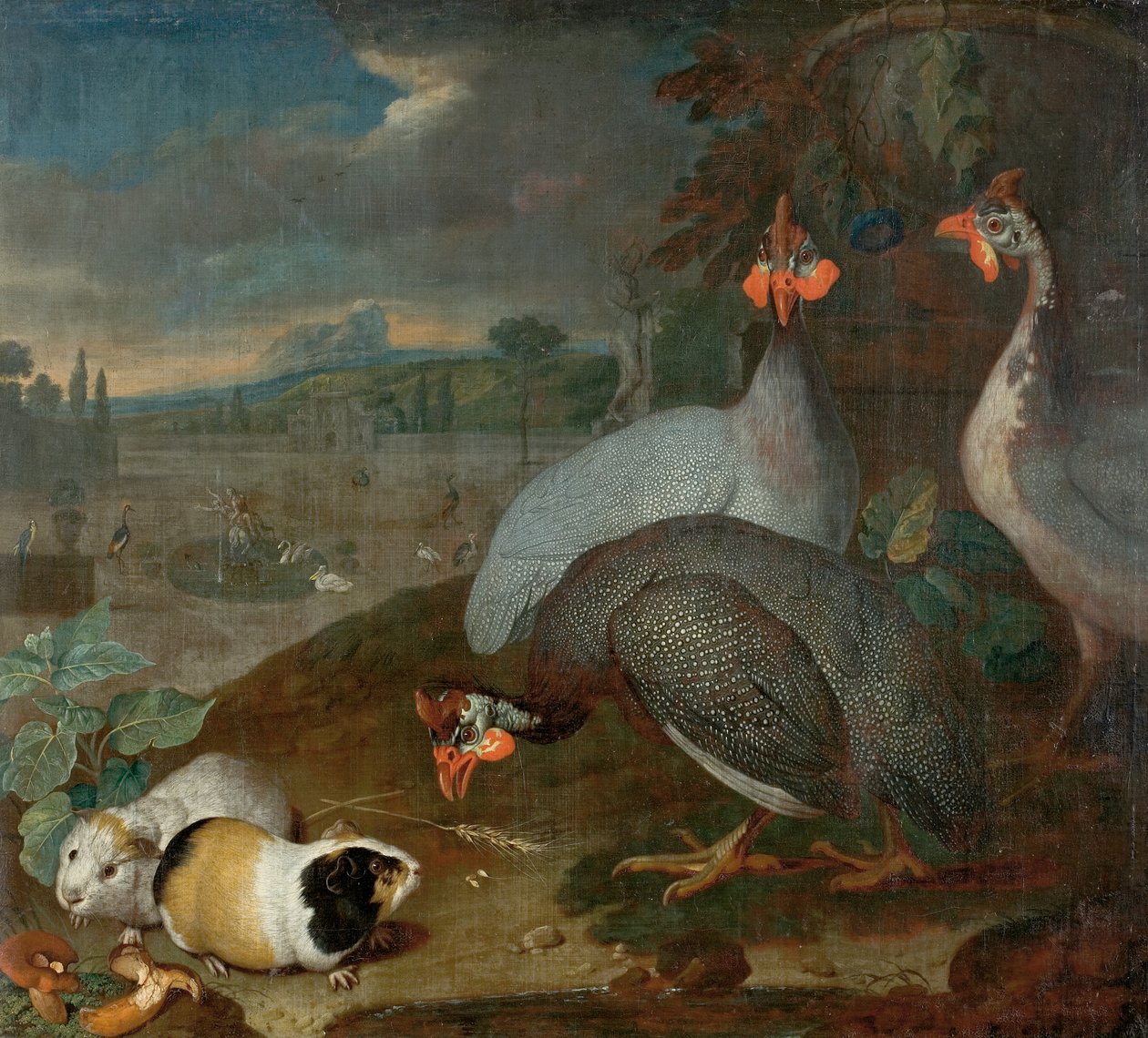 Perlhühner mit Meerschweinchen von Philipp Ferdinand de Hamilton