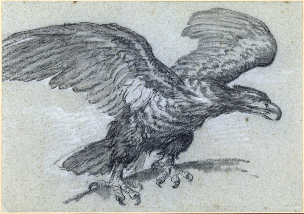 Ein Adler, 1811 von Pierre Paul Prudhon