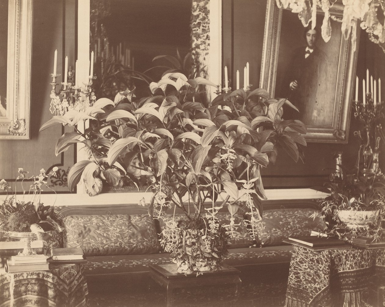 Innenraum von Pierre Ambrose Richebourg