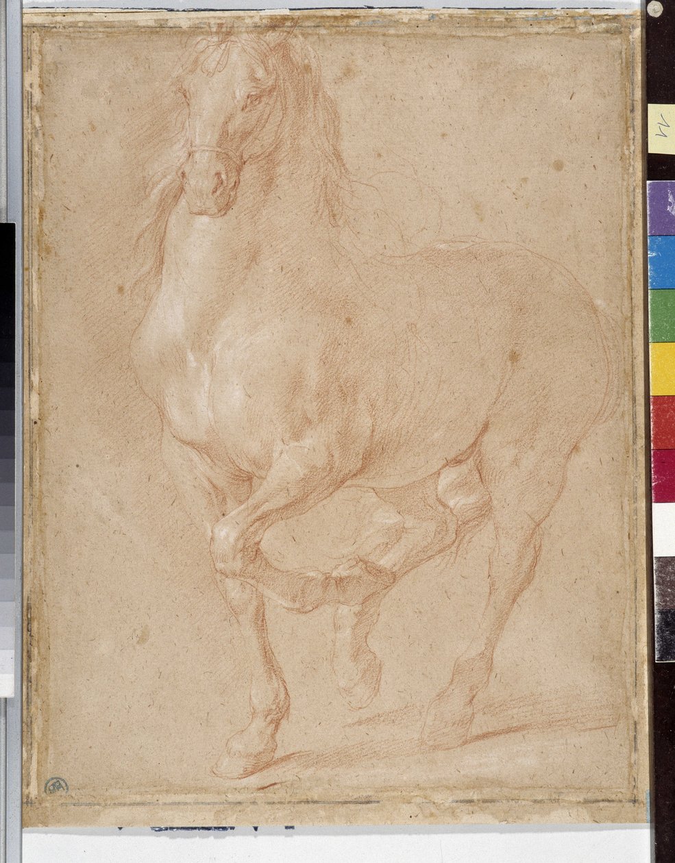Pferdestudie von Pierre Puget