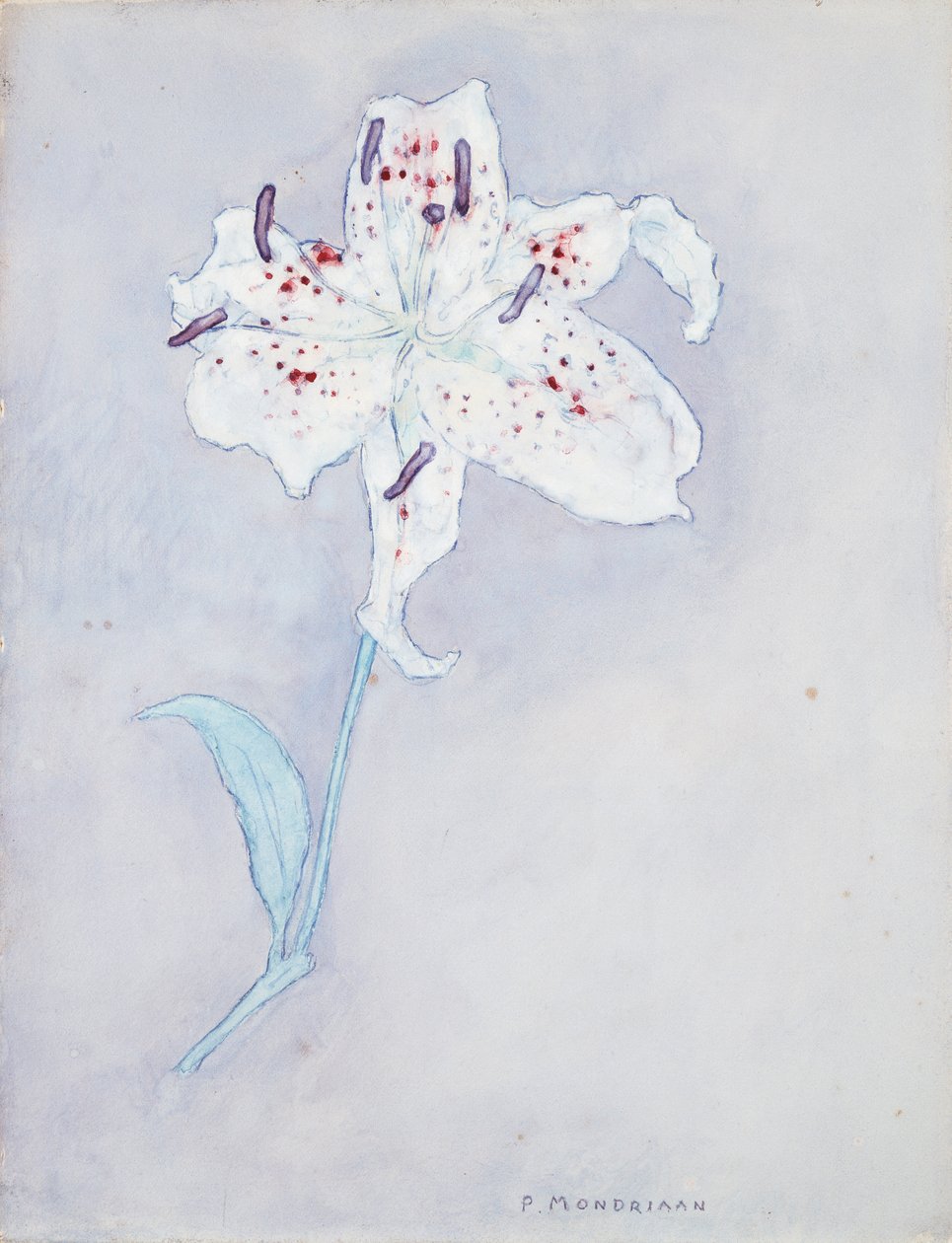 Lilie, ca. 1920-25 von Piet Mondrian