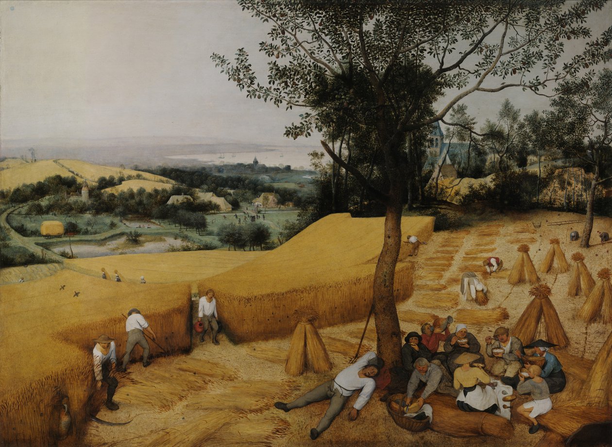 Die Erntearbeiter von Pieter Bruegel the Elder