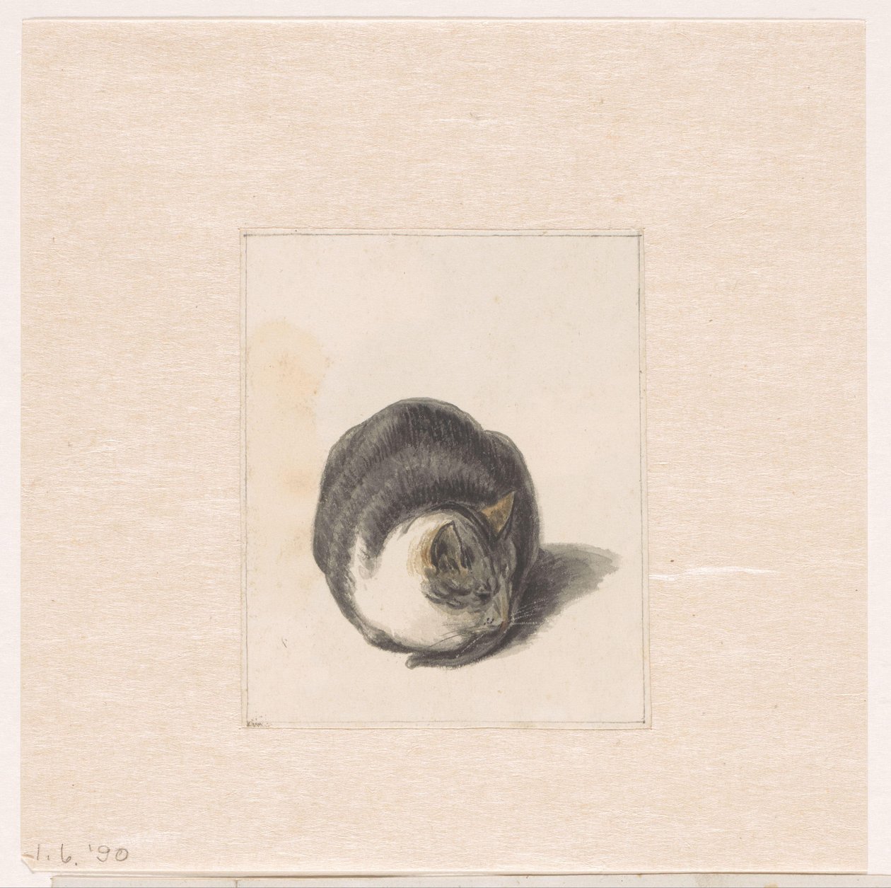Sitzende Katze, von vorne gesehen von Pieter Bartholomeusz. Barbiers