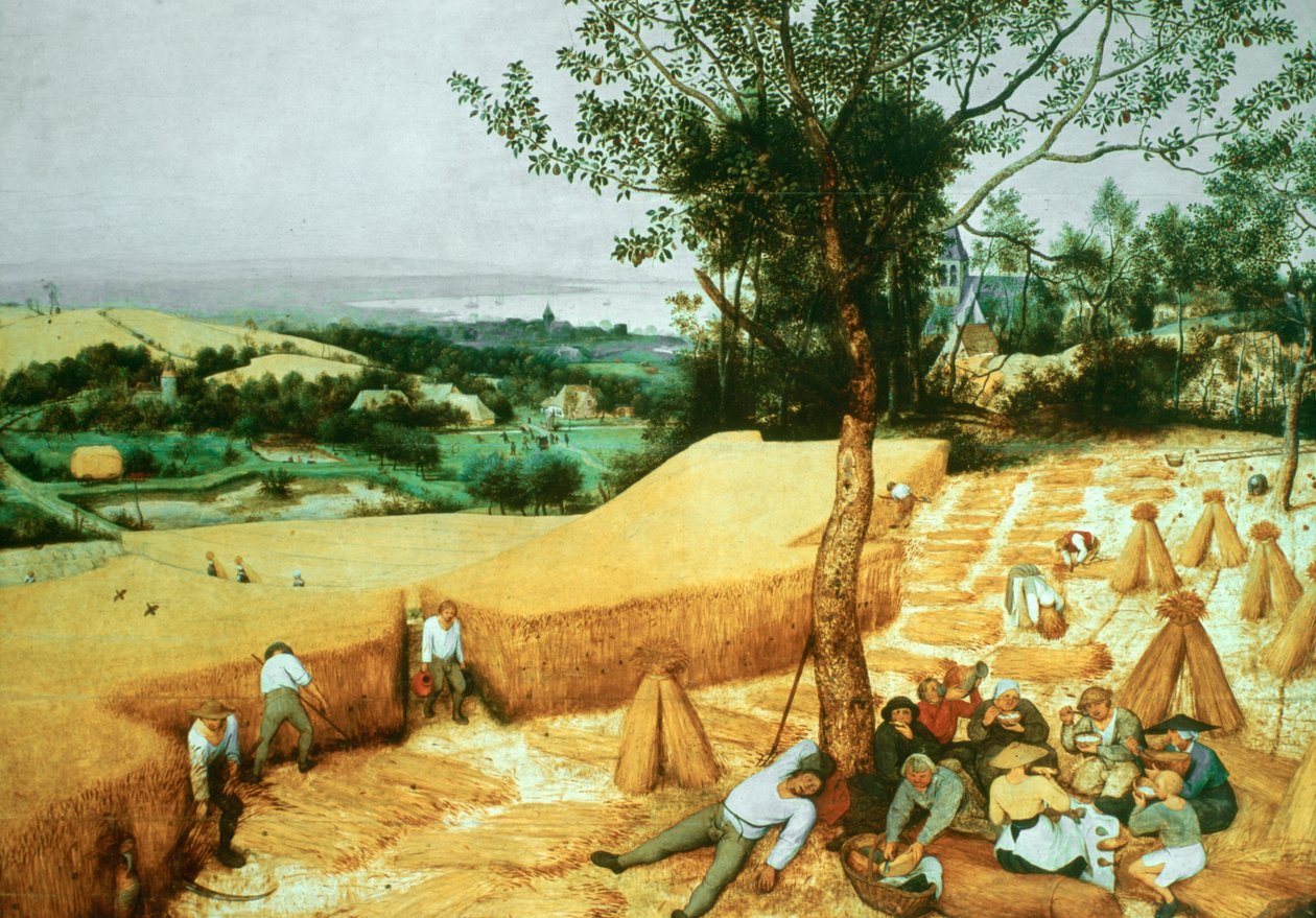 Die Erntearbeiter, 1565 von Pieter Bruegel the Elder