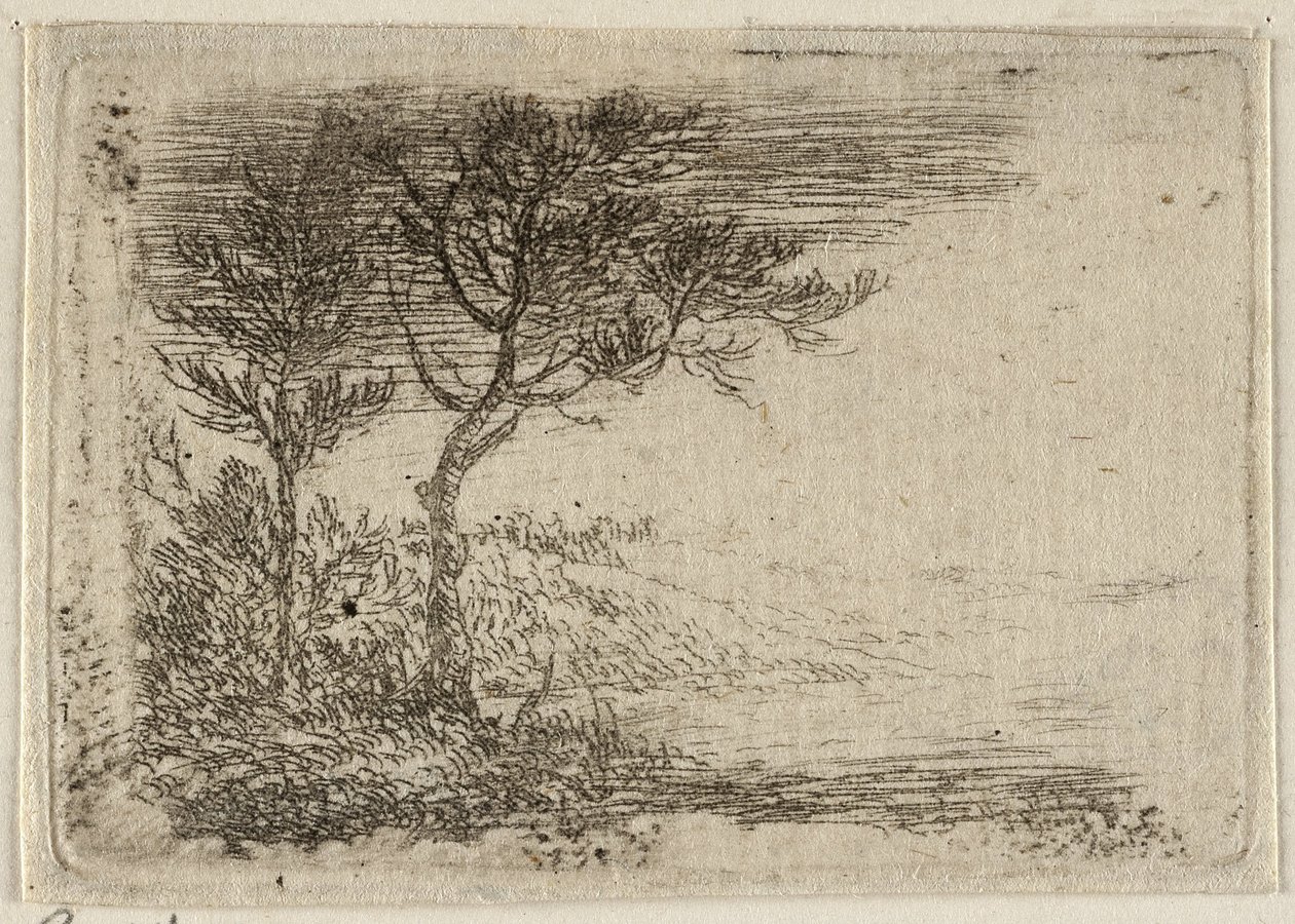 Landschaft mit zwei Bäumen von Pieter van Laer