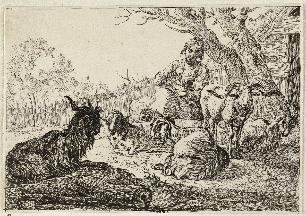 Hirtin unter Ziegen und Schafen von Pieter van Laer