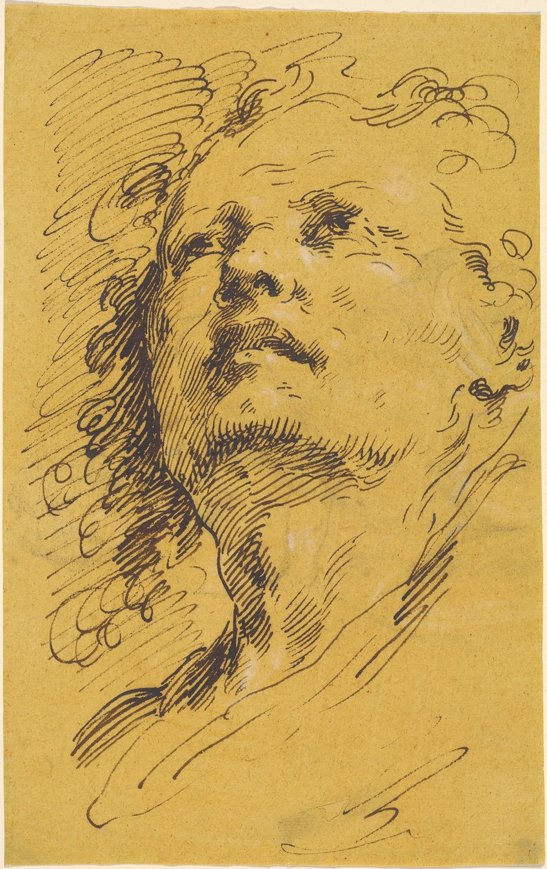 Kopf eines Mannes, der nach oben schaut von Pietro Antonio Novelli