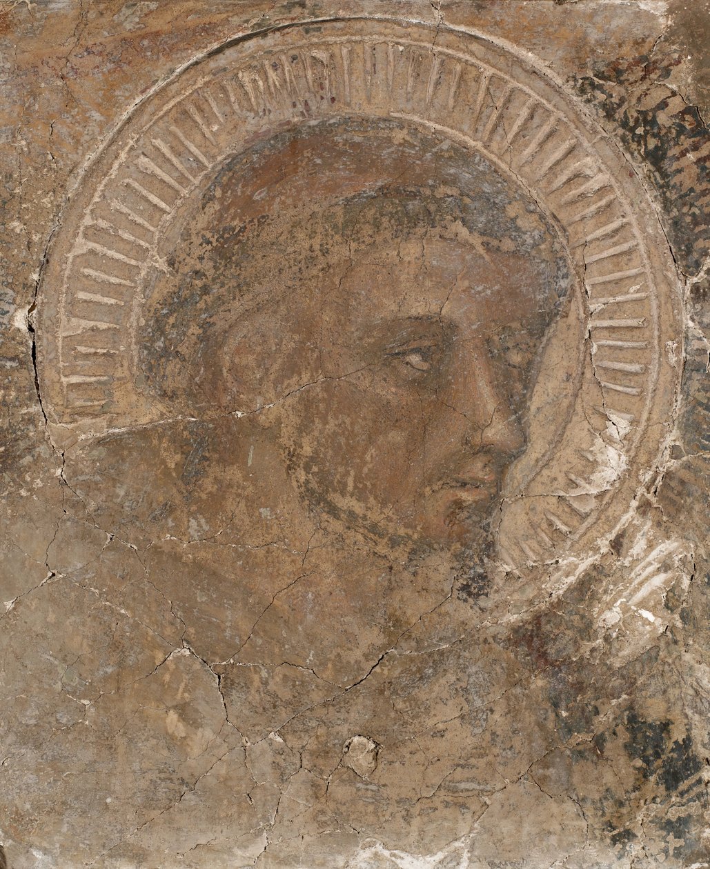 Kopf eines Franziskaners, 1319-47 von Pietro Lorenzetti