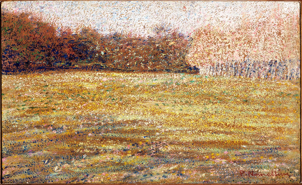 An den Cascine, Florenz, 1889-90 von Plinio Nomellini