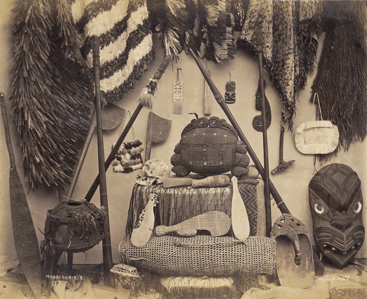 Maori-Kuriositäten von Pulman Studio