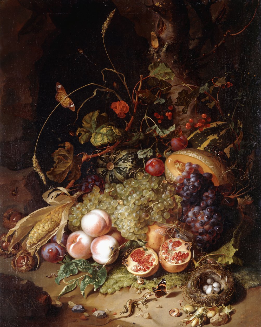 Stillleben mit Früchten und Insekten von Rachel Ruysch