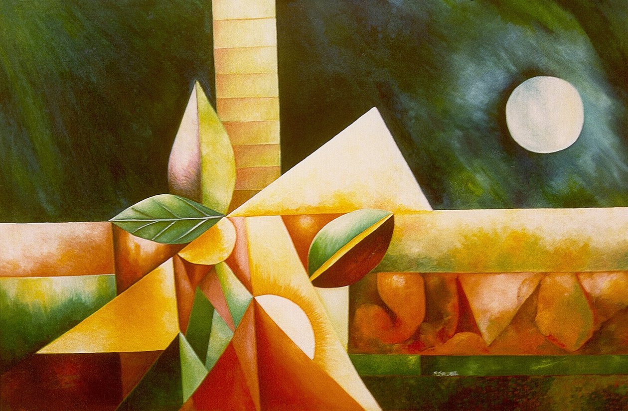 Vollmond von Raimondo Gambino