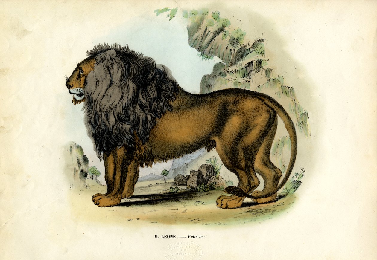 Löwe, 1863-79 von Raimundo Petraroja