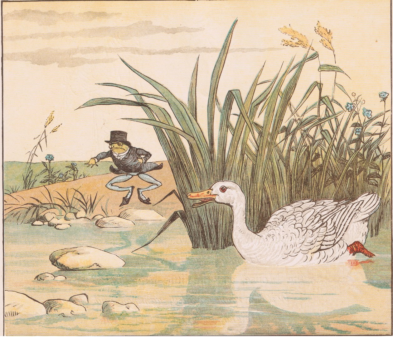 Eine lilienweiße Ente verschlang ihn von Randolph Caldecott