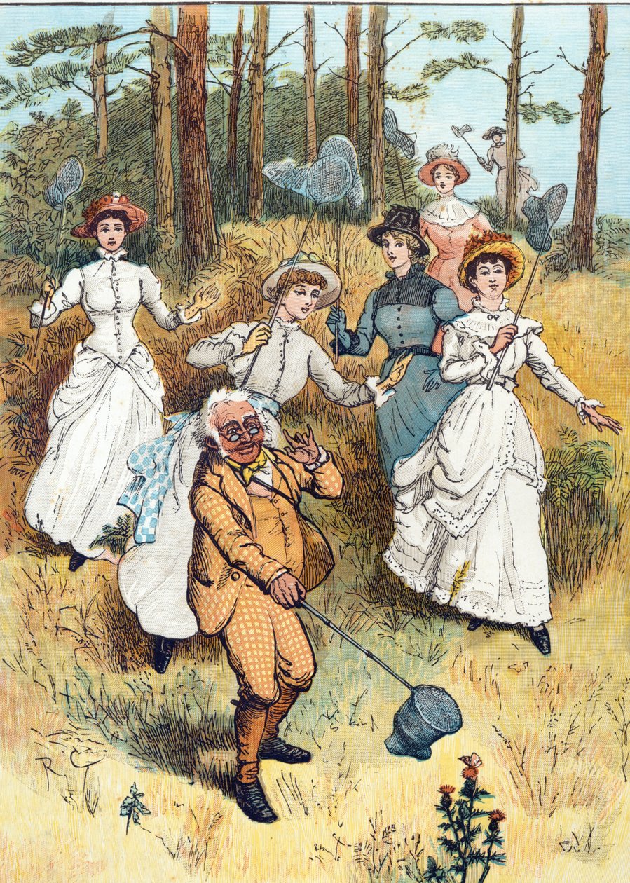 Die Klasse des Professors von Randolph Caldecott