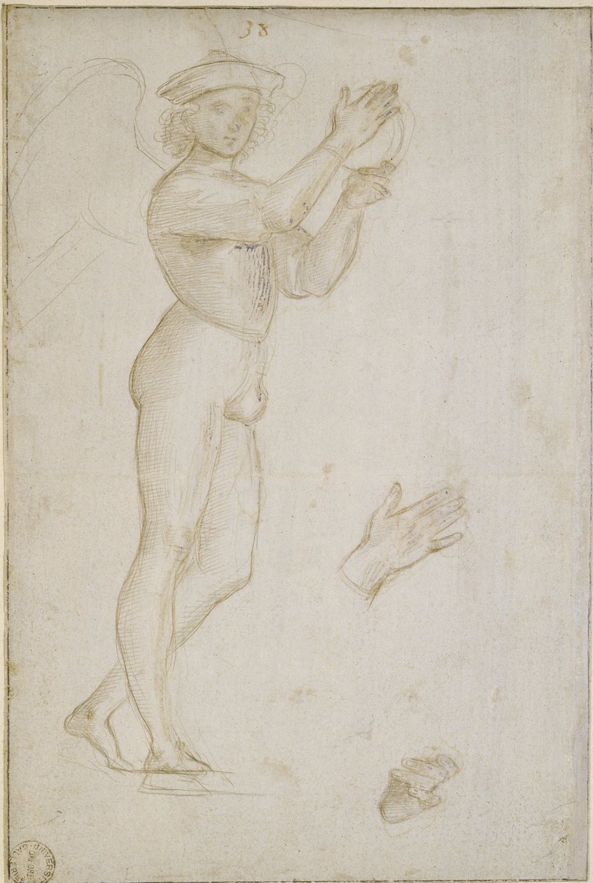Zwei Studien von Raffaello Sanzio Raphael