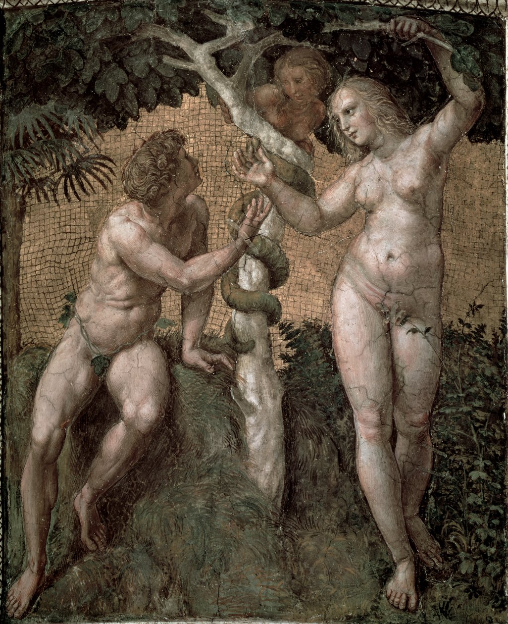 Adam und Eva, aus der Stanza della Segnatura, ca. 1508-11 von Raffaello Sanzio Raphael