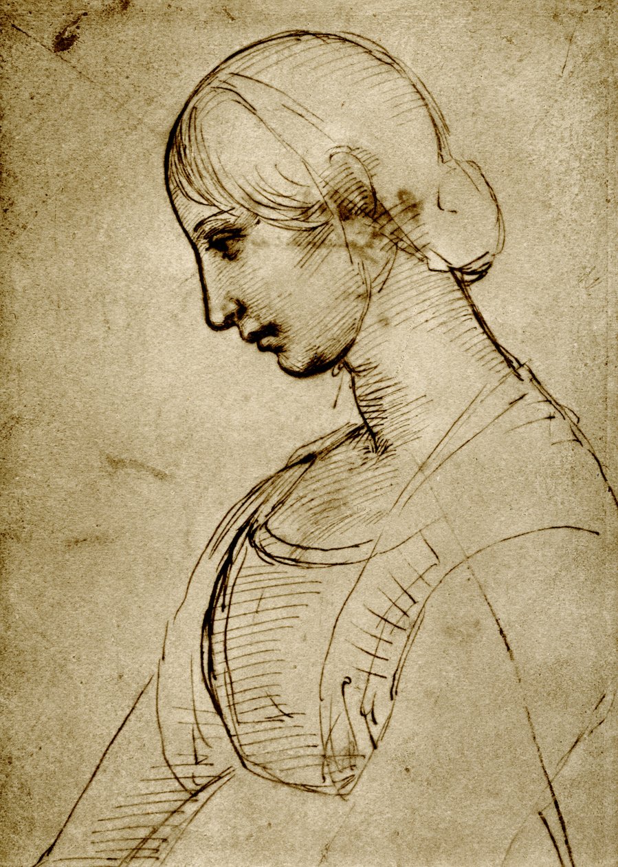 Studie zu einer Madonna von Raffaello Sanzio Raphael