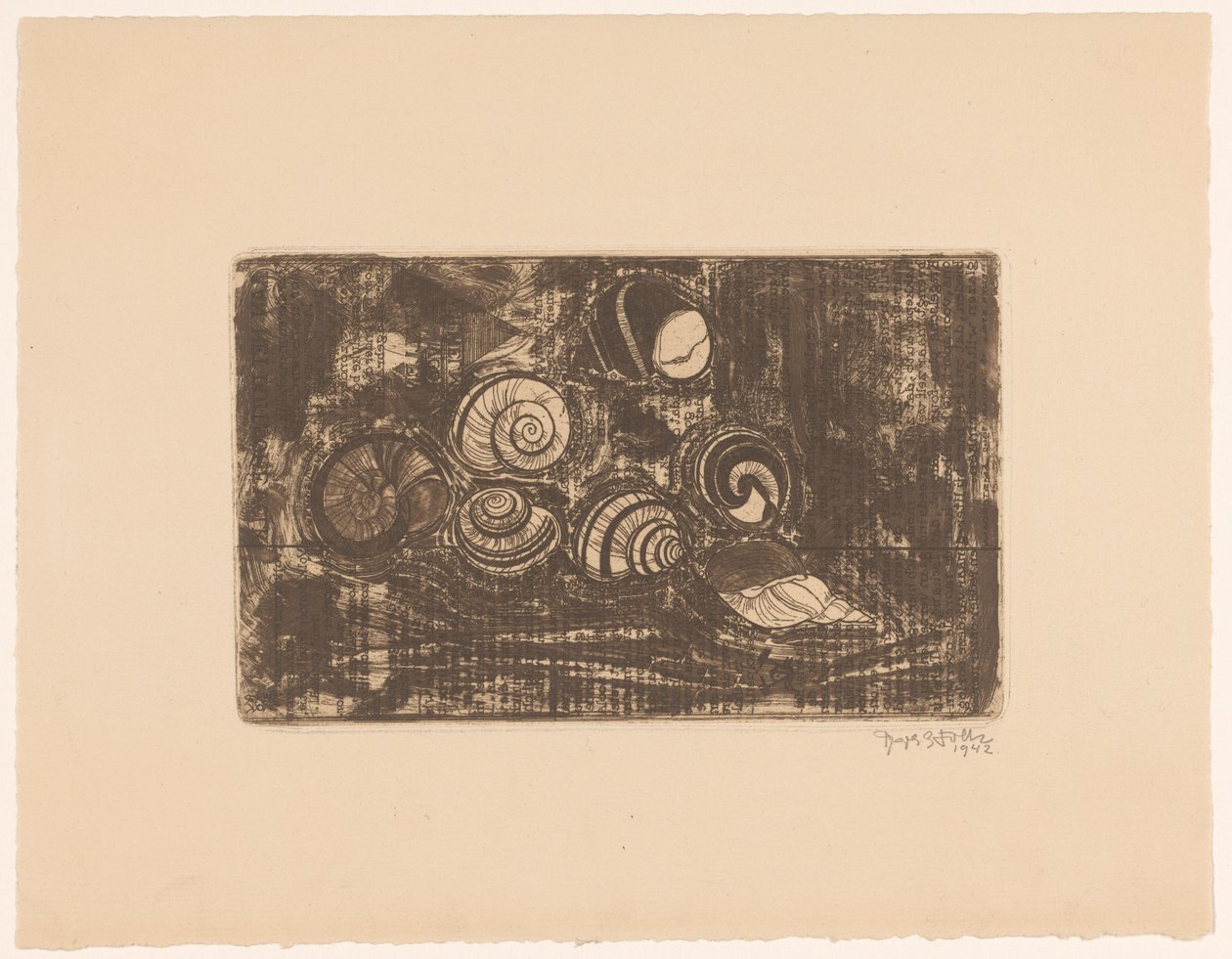 Sieben Muscheln von Reijer Stolk (signed by artist)