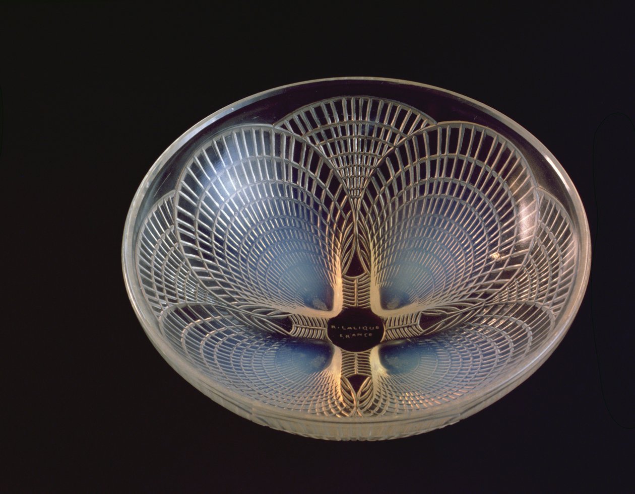 Coquilles, eine opaleszierende Glasvase mit überlappenden Jakobsmuscheln von Lalique von Rene Jules Lalique