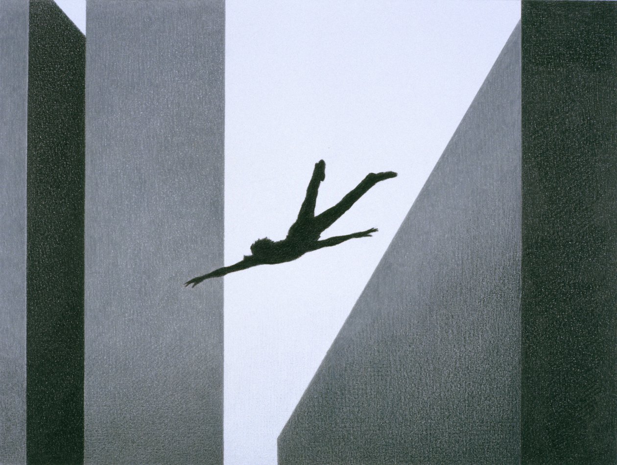 Fliegen von Rene Boin