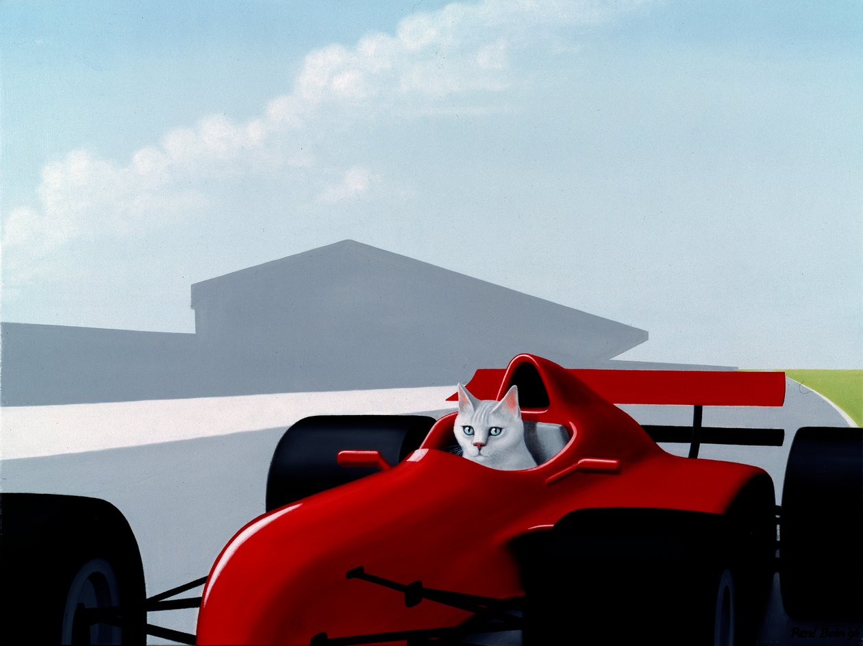Formel 1 Katze von Rene Boin